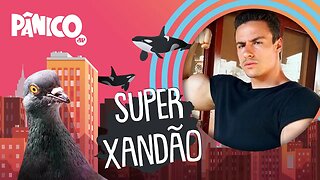 SUPER XANDÃO - PÂNICO - AO VIVO - 03/12/20