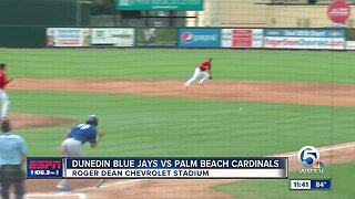 Palm Beach Cardinals vs Dunedin Blue Jays