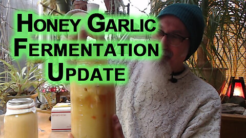 Honey Garlic Fermentation Update [ASMR Food Recipe, How to Make]