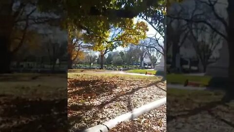 11/21/22 Nancy Drew- Video 1(11:00am)- Capitol Marine Buses Gone- Regular People Were in Them...