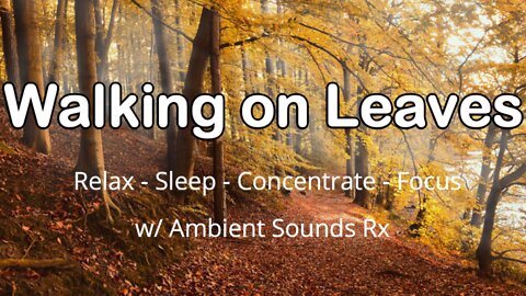 Walking on Leaves - Ambient Noise - Relax - Sleep - Meditate - ASMR