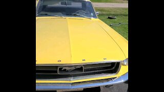 Mustang barn find...in a garage