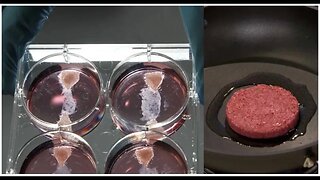 Sizzling Stem Cell Beef: Taste?