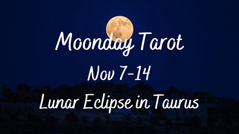 Moonday Tarot - Total Lunar Eclipse in Taurus - Nov 7