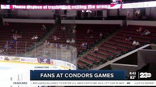 Fans at Condors Games