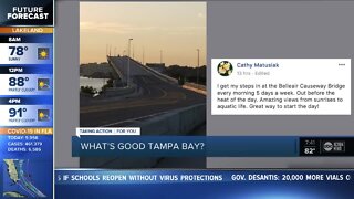 What's Good Tampa Bay? | Where is your favorite walking spot?