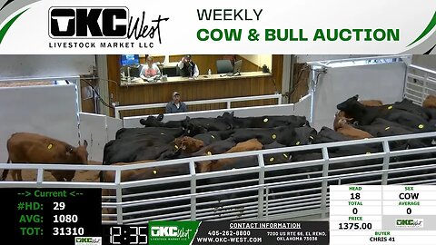 11/27/2023 - OKC West Weekly Cow & Bull Auction