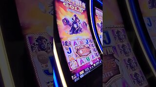 Buffalo Gold Collection $27,000! 174 Spins!