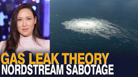 GAS LEAK THEORY: Who Sabotaged Russia's Nord Stream Pipelines? The Most Likely Suspect Revealed