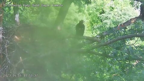 Hays Eagles H19 goes to Incline Branch and up to the Attic 6.6.23 10:52am