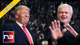 Donald Trump, Newt Gingrich just Teamed Up for a GREAT Cause