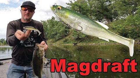 Magdraft Magic: Unlocking Largemouth Bass Secrets with Megabass Swimbait!