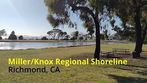 Miller/Knox Regional Shoreline