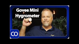 Govee Mini Hygrometer Review