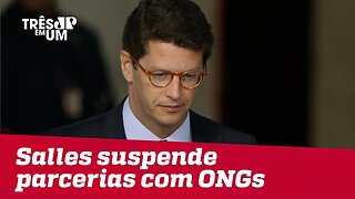 Ministro do Meio Ambiente, Ricardo Salles, suspende convênios e parcerias com ONGs por 3 meses