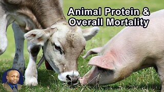 Landmark Study Shows People With Higher Animal Protein Intake Had 75% Higher Overall Mortality