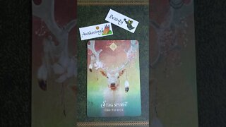 Aries ♈ Love Reading 22nd - 28th August 2022 #lovetarot #loveoracle #lovereading