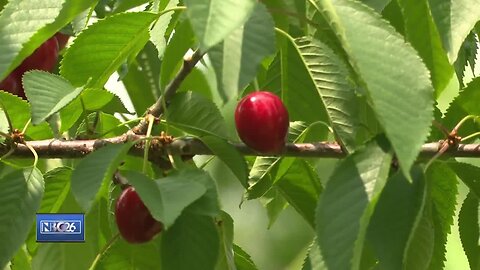 Small Towns: Village of Ephraim fish boil