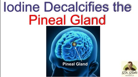 Iodine Decalcifies The Pineal Gland