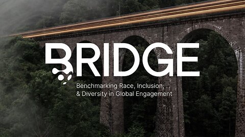 Libs Are Rebranding DEI To…BRIDGE (Benchmarking Race, Inclusion, And Diversity In Global Engagement)