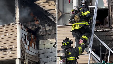 Firefighters rescue cat from house fire