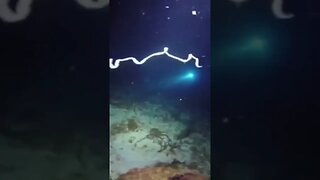 Crazy phenomenon 🪱 #deepocean #scary