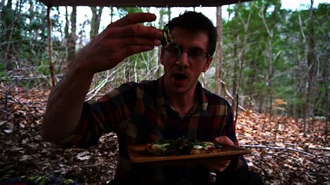 5 Spring Wild Edible Greens in Asheville, North Carolina. Stinging Nettles, Onion Grass, Chickweed