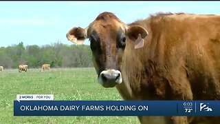 Oklahoma dairy farms holding on