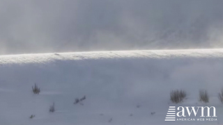 Rare Phenomenon Knows As A Ghost Snow Tsunami Finally Caught On Camera