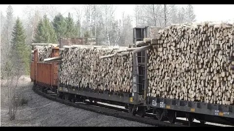 Railroad Losing LOGS Right Off The Freight Train.. Watch Out! (PART ONE) | Jason Asselin