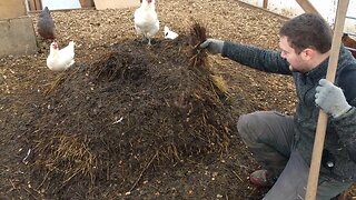 Winterizing Chicken The Easy & Affordable Way