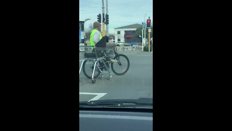 Dude on his bike pulls a dog in a shopping cart
