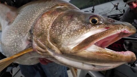 THE HUNT - A Quest For The Record LAKE TROUT - Official Movie