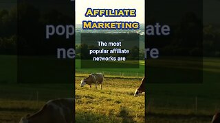 Affiliate Marketing Facts #makemoneyonline #affiliatemarketing #digitamarketing