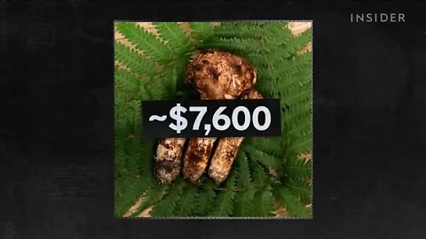 Why Matsutake Mushrooms Are So Expensive