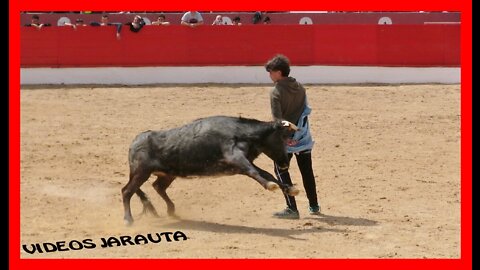 CORELLA ( NAVARRA ) MATINAL VACAS PLAZA ( SABADO 30 ABRIL 2022 ) ENRIQUE DOMINGUEZ