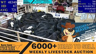 1/10/2023 - Part 2 of Beaver County Stockyards Livestock Auction