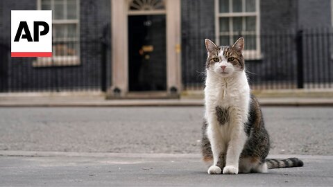 Go to these locales for the history. Stay for the cats