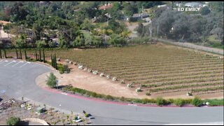 Outdoor wineries may stay open