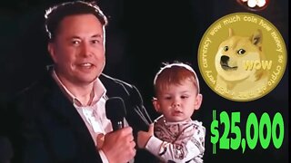 Elon Musk Dogecoin Masterplan