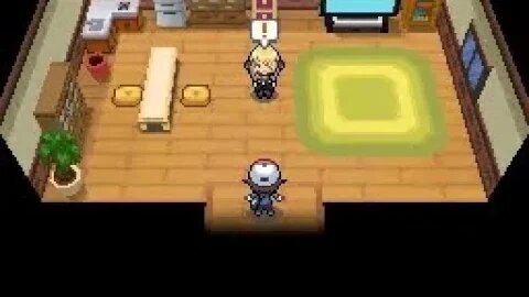 When You Enter The Wrong House in Undella Town (Pokemon White)