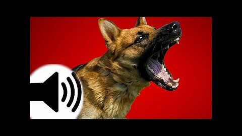 Dogs Barking Sound Effect