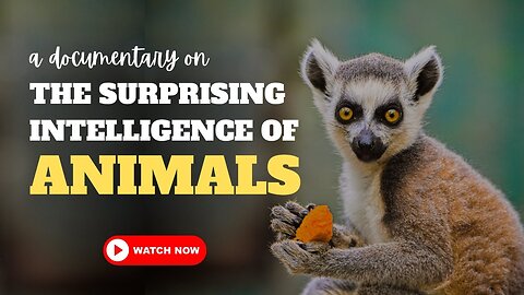 The Surprising Intelligence of Animals