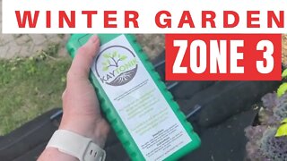 Planting Seeds In My Garden Soxx. Winter Gardening For Zone 3 Trial Run #1