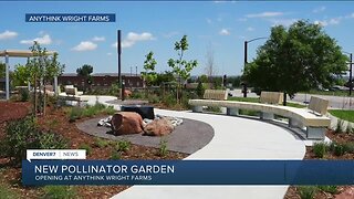 Pollinator garden opening at Anythink Wright Farms