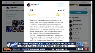 Ravens player under fire for offensive tweets