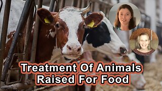 Treatment Of Animals Raised For Food