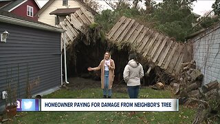 Lakewood woman forced to pay for damage caused by uprooted tree in neighbor's backyard