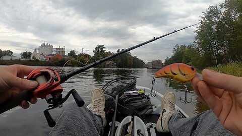 Using a Megabass SonicSide Crankbait for River Smallies