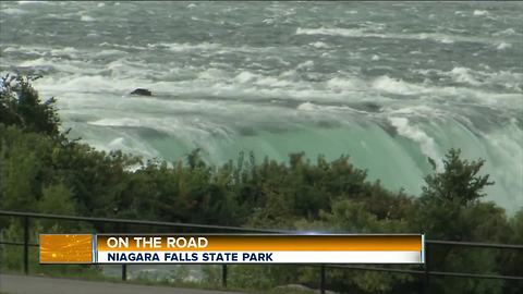 AM Buffalo on the Road in Niagara Falls